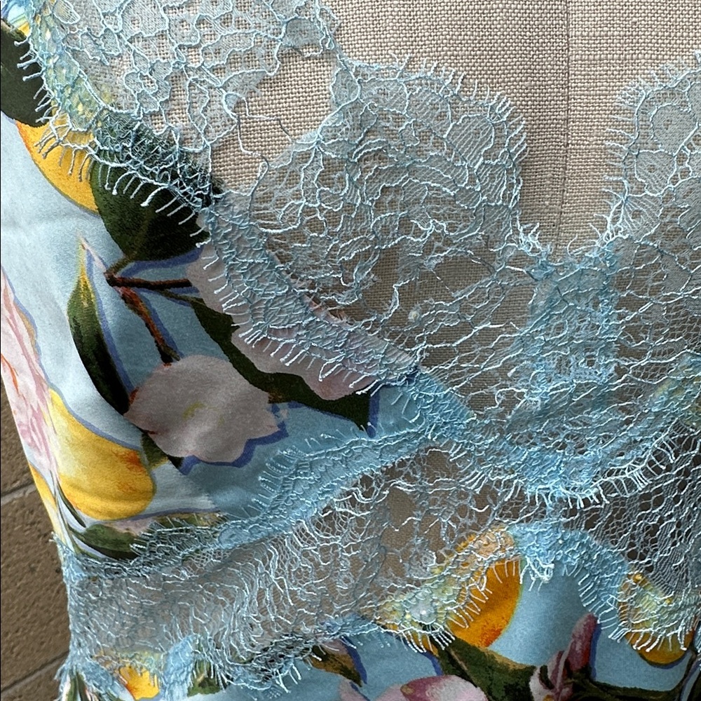 VICTORIA’S SECRET | Women’s M Light Blue Lemon Floral Chemise Slip Lace Dress - Picture 9 of 10